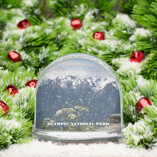 Olympic National Park Travel Photo (クリスマス)