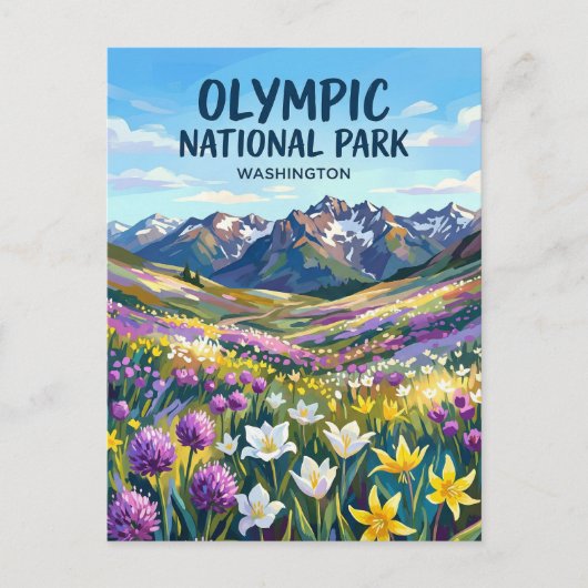 Olympic National Park Washington ポストカード (正面)