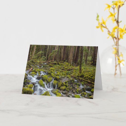 Olympic National Park, Washington State カード (黄色い花)