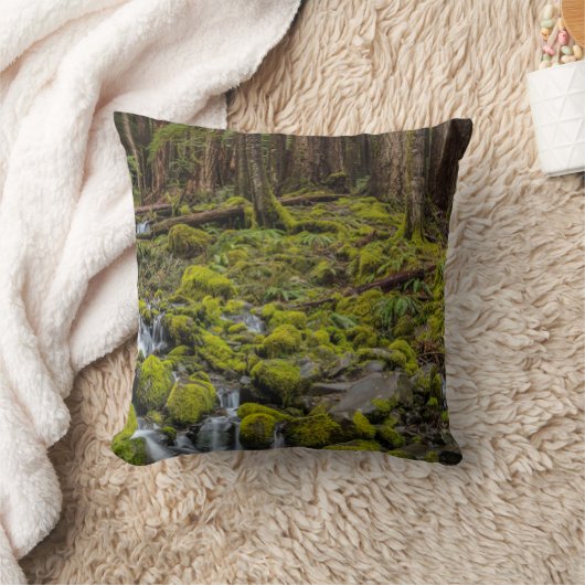 Olympic National Park, Washington State クッション (ブランケット)