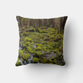 Olympic National Park, Washington State クッション (裏面)