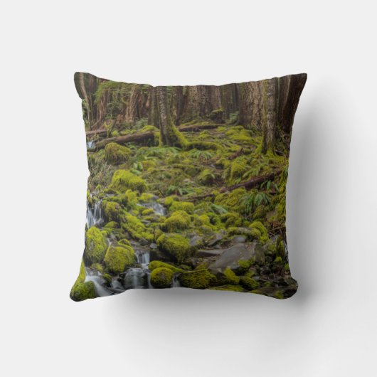 Olympic National Park, Washington State クッション (裏面)