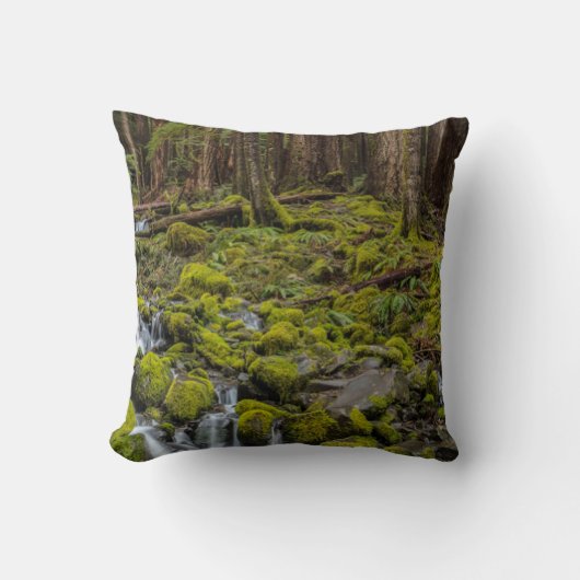 Olympic National Park, Washington State クッション (正面)