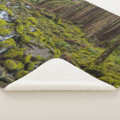 Olympic National Park, Washington State シェルパブランケット (3/4)