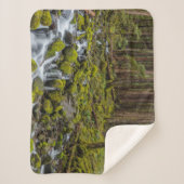 Olympic National Park, Washington State シェルパブランケット (正面)