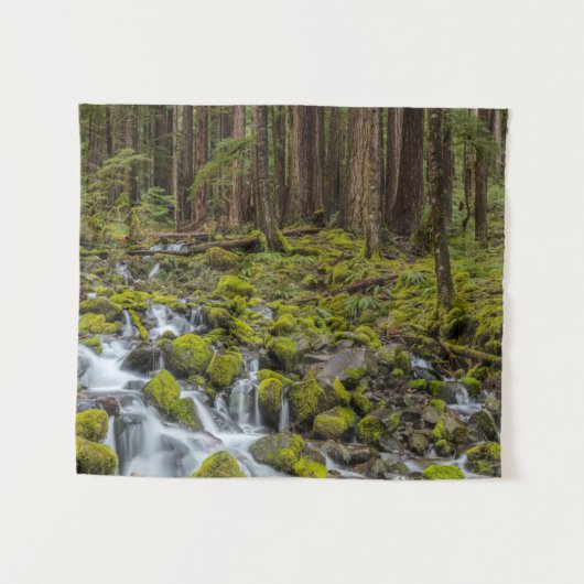 Olympic National Park, Washington State タペストリー (正面(横))