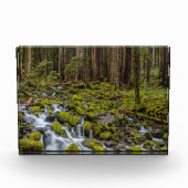 Olympic National Park, Washington State フォトブロック (正面)