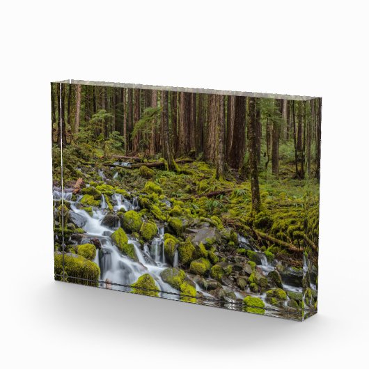 Olympic National Park, Washington State フォトブロック (右)