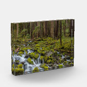 Olympic National Park, Washington State フォトブロック (左)