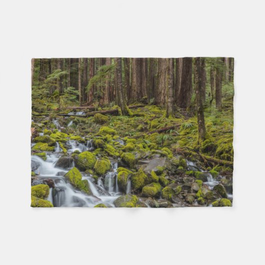 Olympic National Park, Washington State フリースブランケット (正面(横))