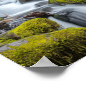 Olympic National Park, Washington State ポスター (角)