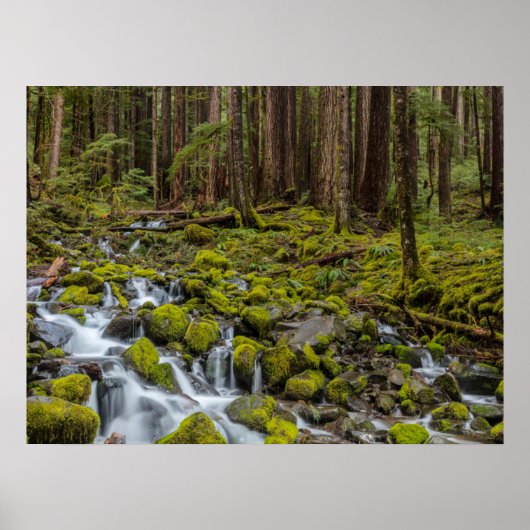 Olympic National Park, Washington State ポスター (正面)