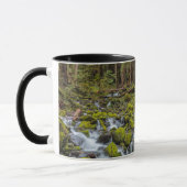 Olympic National Park, Washington State マグカップ (左)