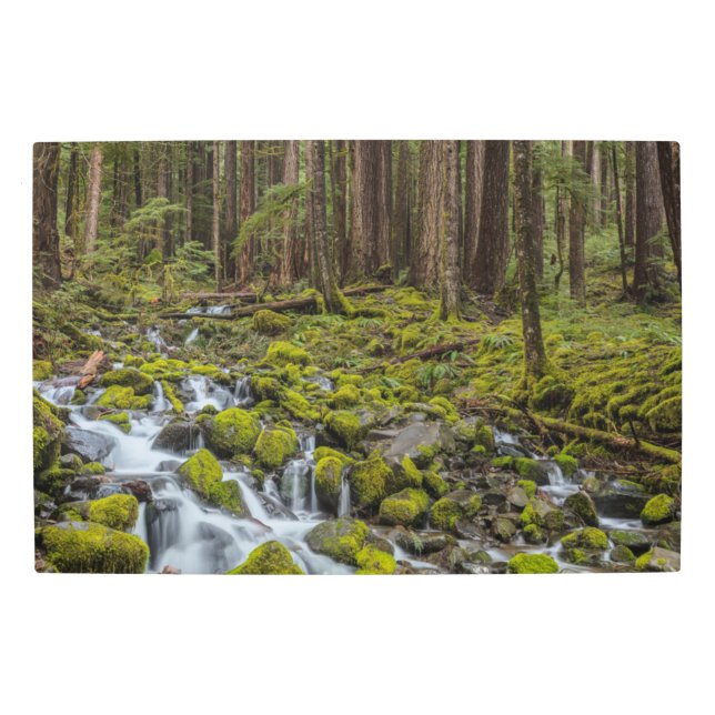 Olympic National Park, Washington State メタルプリント (正面)