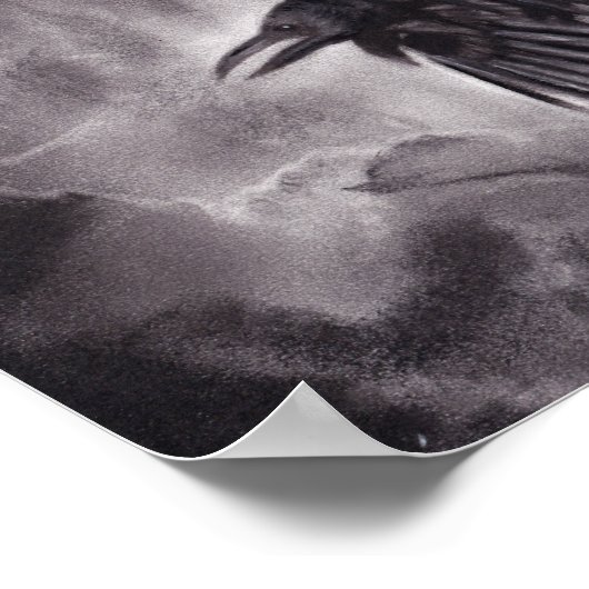 Omen Ravenのポスター ポスター (角)