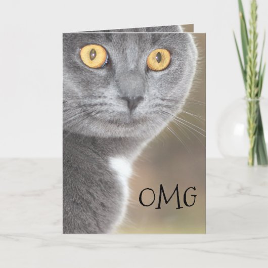OMGおめでとう カード (正面)