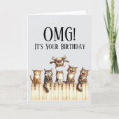 OMGかわいい猫テーマ誕生日カード シーズンカード (正面)