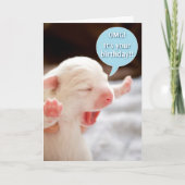 OMG誕生日! カード (正面)