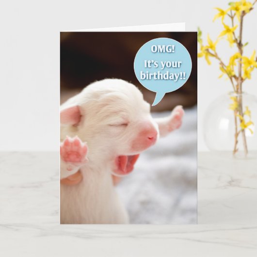 OMG誕生日! カード (黄色い花)