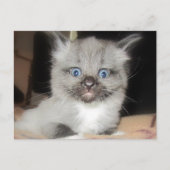 OMG ポストカード (正面)