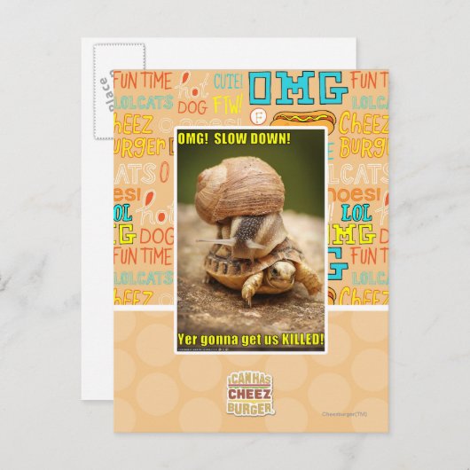 OMG! 減速! ポストカード (正面/裏面)