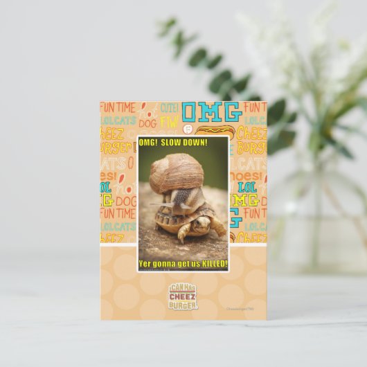 OMG! 減速! ポストカード (スタンド正面)