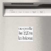 On excelle dans tous les dolmens マグネット (インサイチュ (食洗機))