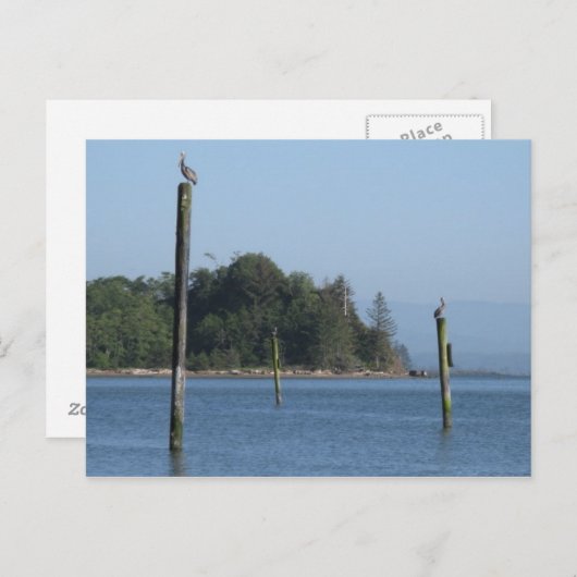 On Guardはがき ポストカード (正面/裏面)