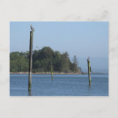 On Guardはがき ポストカード (正面)