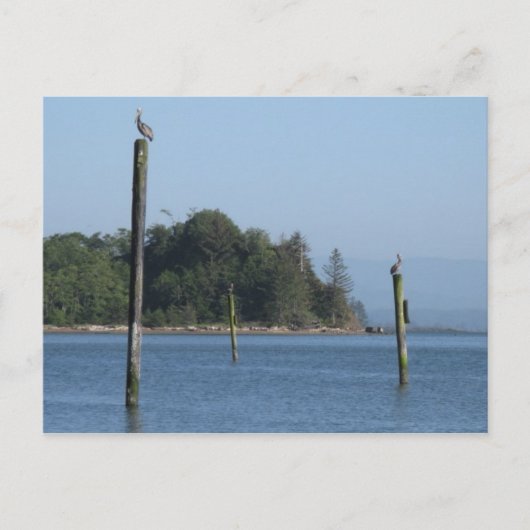 On Guardはがき ポストカード (正面)