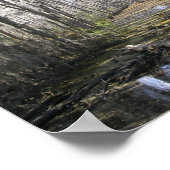 On the Bayou ポスター (角)