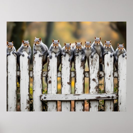 On the Fence ポスター (正面)