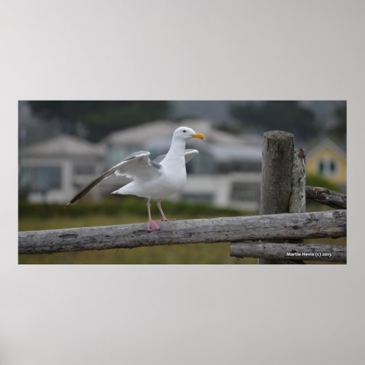 On the Fence II – ポスター/プリント ポスター (正面)