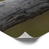 On the Fence II – ポスター/プリント ポスター (角)