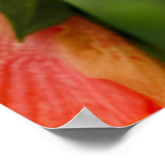 On the Green ポスター (角)