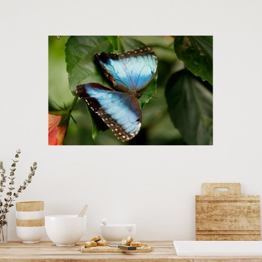 On the Green ポスター (キッチン)