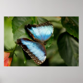 On the Green ポスター (正面)