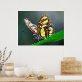 On the Green ポスター (キッチン)