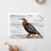 On The Lookout ノートカード (正面/裏面インサイチュ)