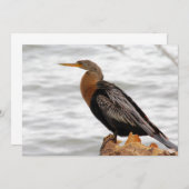 On The Lookout ノートカード (正面/裏面)