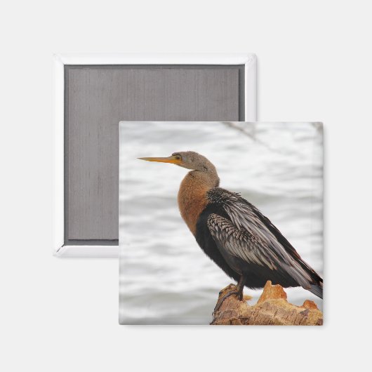 On the Lookout マグネット (正面/裏面)