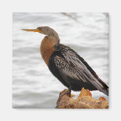 On the Lookout マグネット (正面)