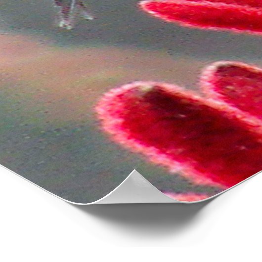 On the Move ポスター (角)