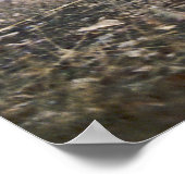 On the Prowl Timber Wolf Poster ポスター (角)