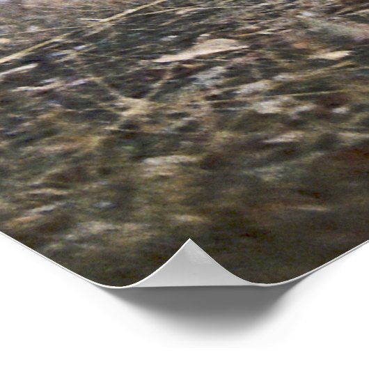 On the Prowl Timber Wolf Poster ポスター (角)