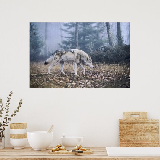 On the Prowl Timber Wolf Poster ポスター (キッチン)