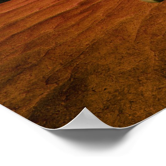 On the Way ポスター (角)