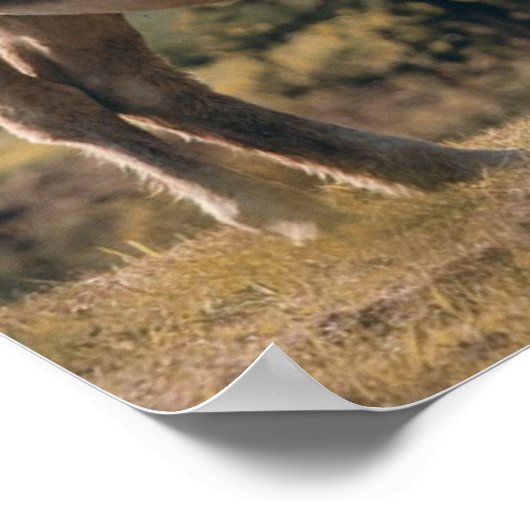 On Top  ポスター (角)