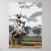 On Top  ポスター (正面)