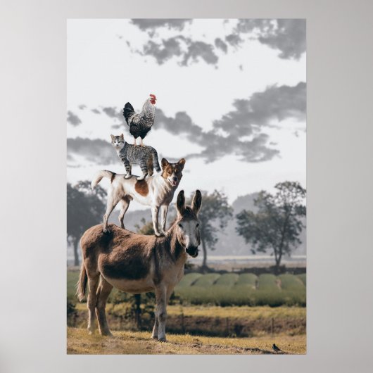 On Top  ポスター (正面)